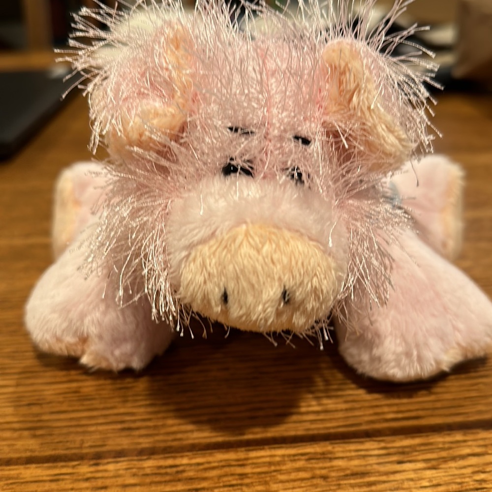 Webkinz - Picture 7 of 7